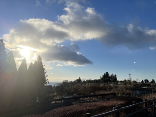 IMG_0250.JPEG