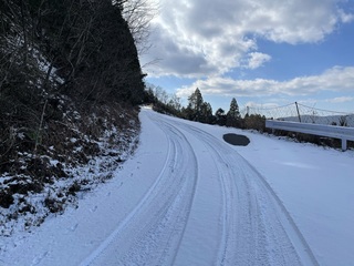 IMG_8382.JPEG