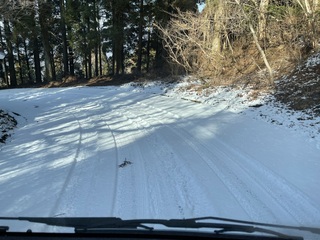 IMG_8385.JPEG